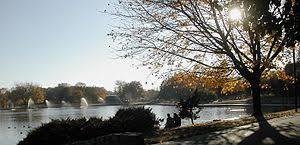 Pole Mokotowskie-parken